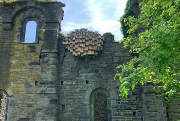 VISITE INSOLITE DE L'ABBAYE DE VILLERS-LA-VILLE ET DE SA BRASSERIE !